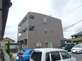 プラシードの画像