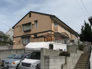 セジュール錦の画像