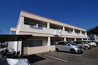 ゴールデンドーンの画像