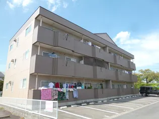 パークヒルズ213【3階】の外観