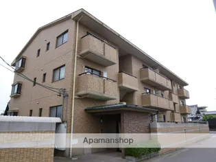 ベラマティーナの画像