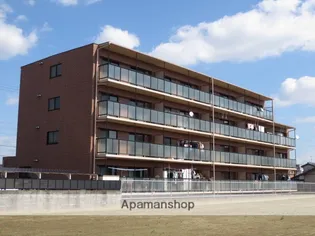 グレイス丹羽の画像