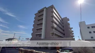 パールコートエルザの画像