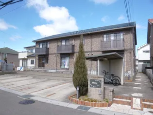 シャインの画像