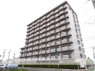 グランメゾン金城【8階】の外観