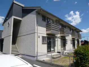 カモミールの画像