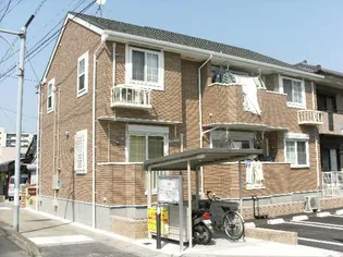 ナリッシュ Mの画像