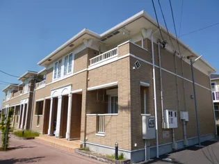 ルピナスBの画像