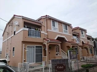 フィデールの画像