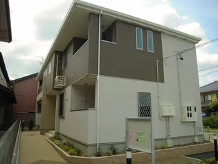 クレメント花水木の画像