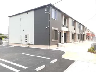 セントポーリアBの画像