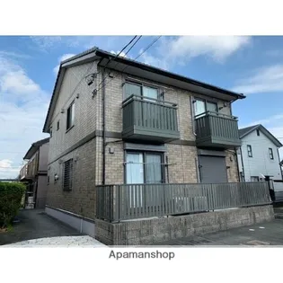 セントポーリアの画像