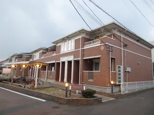 ルルーディアAの画像