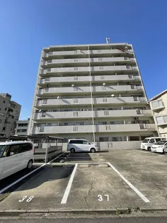 レグノ アレッタの画像