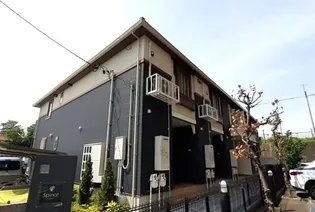 シュピナートの画像