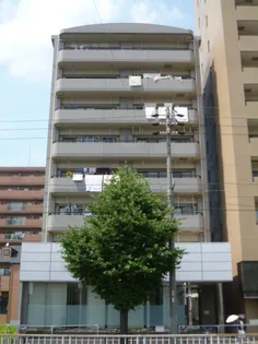 メゾンドール若葉の画像