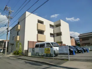 コレクション黒川【3階】の外観