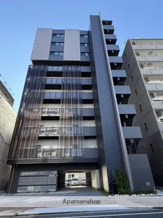 シダーノリタケの画像