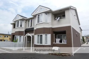 マルベリーNの画像