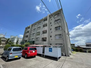 太田ハイムの画像