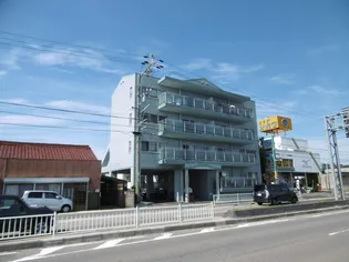アネックス91の画像