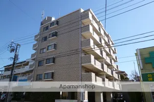 エルセリートオーテの画像