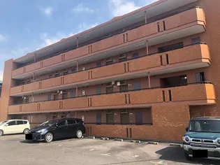 エグゼクティブ33【4階】の外観