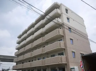 M'Sパーシモンの画像