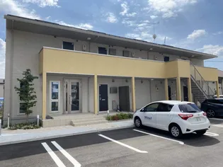 マーガレットの画像