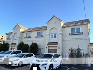 ノラ アルボレの画像