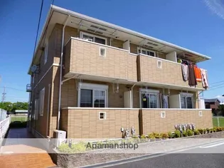 ウィンディーの画像