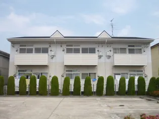 サンビラーゼの画像