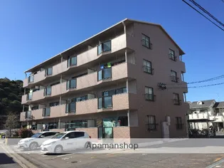 ハイツ花水木Ⅲ【4階】の外観