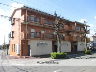 オレンジアベニューの画像