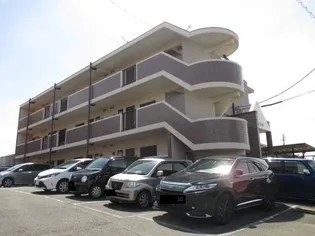 あすなろの画像