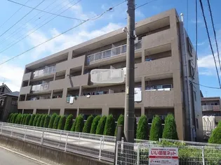 ランデックスの画像