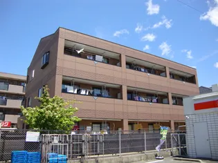 ピュア エクセルの画像