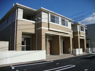 ガーデンツバキの画像