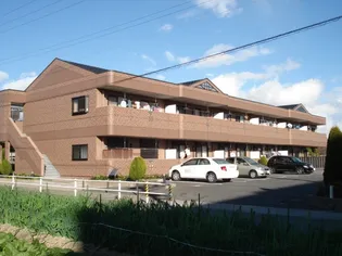 セイントクルーズⅡの画像