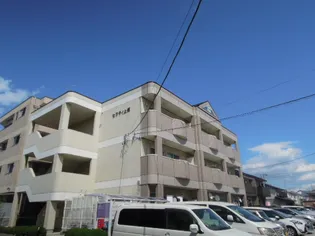 セフティ上坂の画像