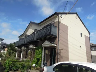 DUPLEX国王の画像