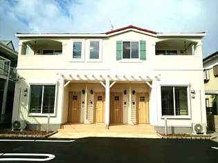 アドニスAの画像