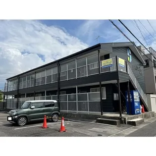 SURPLUS野菊の画像