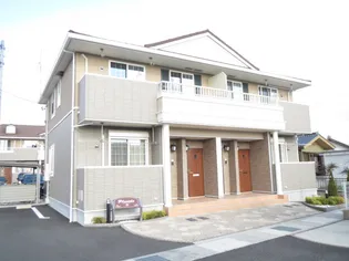 プラシードⅠの画像