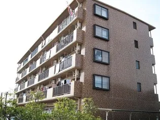 フェリースアイチの画像