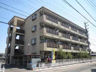 サンピースの画像