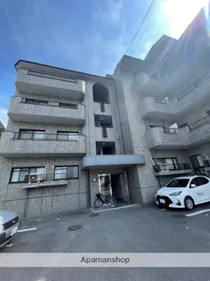 レジーナマルフクの画像