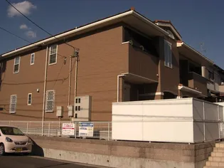 プラシードの画像