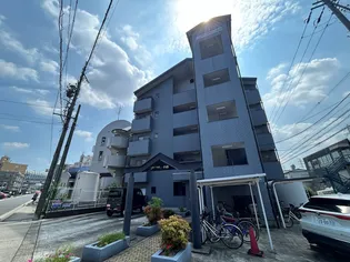 プルミエ小島の画像