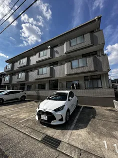 スティルネス洋の画像
